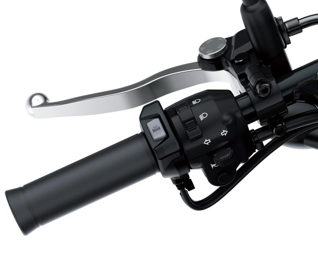 Heated Grip Set (W800)